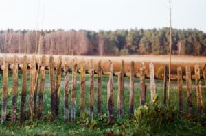 Traditionellt trästaket framför en äng och skog i höstljus
